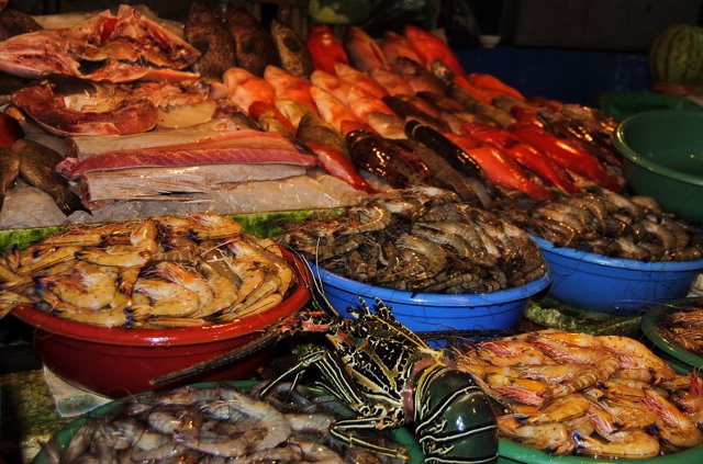 Owoce Morza – Seafood Wróbelski